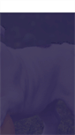 Mobile Screenshot of majesticpaws.com